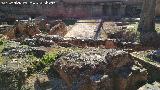 Alhambra. Palacio de los Abencerrajes. 