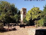 Alhambra. Medina. Con el campanario del Convento de San Francisco al fondo