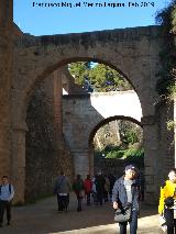 Alhambra. Acueducto. 