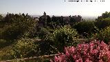 Generalife. Mirador del Patio de la Acequia. Vistas