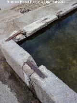 Fuente de San Roque. Grapas