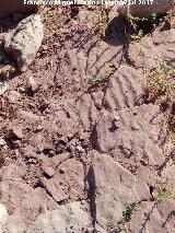 Ondulitas del Guadaln I