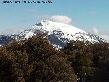 Monteagudo