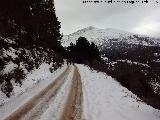 Sendero de Fuenmayor