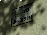 Avenida Juan Carlos I. Placa