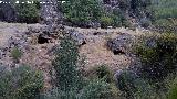 Casas Cueva del Tercero