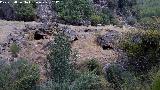 Casas Cueva del Tercero. 