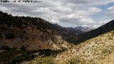 Barranco de los Alamillos. 