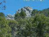 Cerro El Romeral. Pico de la Alberca