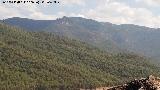 Cerro de Toladillo
