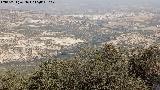 Cerro de los Murcilagos. Vistas hacia Baena