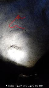 Petroglifos rupestres de la Cueva de los Murcilagos. Cabeza de zooformo
