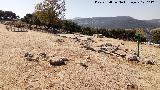 rea recreativa del Cerro de los Murcilagos
