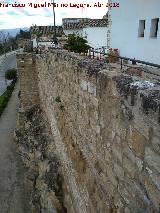 Muralla de San Milln. 