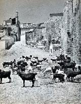 Pilar de la Puerta de Granada. Foto antigua