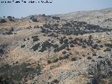 Hoyo de la Mora. Desde el MIrador del Can del Ro Bailn