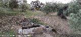 Fuente de las Quebradas. 