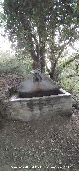 Fuente de la Bellota. 