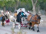 Cortejo fnebre de Isabel la Catlica. 