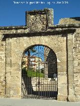 Plaza de Toros de San Nicasio. Puerta