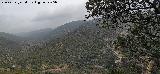Cerro de las Minas. Ladera oeste. Desde el Cerro de la Caldera