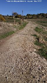 Camino de la Madre de Dios del Campo. 