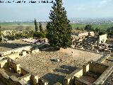 Medina Azahara. Viviendas Superiores