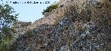 Castillo de Zahara de la Sierra. Muralla de tapial