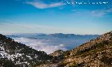 Mgina. Vistas