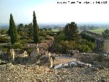 Medina Azahara. Saln Rico y Jardines. Jardn Alto