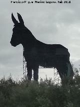 Burro Grande. 