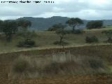 Noria de la Parrilla