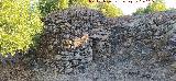 Caracol de Cantera Vieja. 