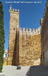 Alc�zar de la Puerta de Sevilla. Torre del Homenaje