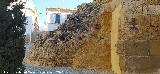 Alc�zar de la Puerta de Sevilla. Roca madre