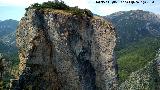 Piedra del Palo. Parte alta