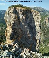 Piedra del Palo. 