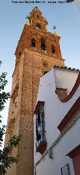 Iglesia de San Pedro. Campanario