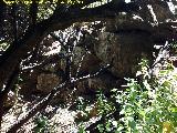 Poblado prehistrico del Cerro del Salto