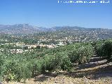 Aldea Mogn
