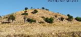 Cerro de la Escombrera