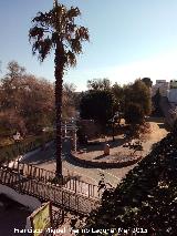 Paseo del Aceite