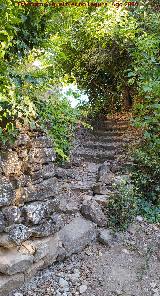 Cortijo de Perovela. Escaleras de la cerca