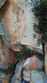 Pinturas rupestres del Arroyo del Chortal II. Panel