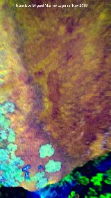 Pinturas rupestres del Arroyo del Chortal III. Tratada con Dstretch