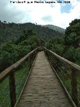 Sendero del Enebral. 