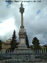 Triunfo a la Inmaculada Concepcin. 