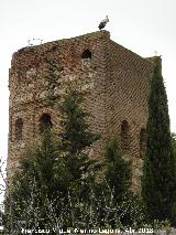 Torre de la Vela. 