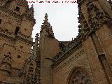 Catedral Nueva. Pinculos