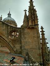 Catedral Nueva. Tejado